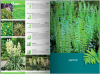 KATALOG BYLIN II Kwiaty, trawy i paprocie